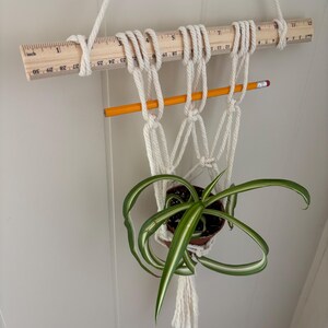May include: A handmade macrame plant hanger with a wooden ruler top. The off-white cotton rope supports a small brown pot with a green and white spider plant. A yellow pencil is used as a support.