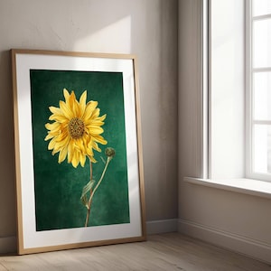 Impresión botánica vintage de margaritas amarillas / Arte mural floral verde oscuro / Impresión física estilo cottagecore melancólico / Colección Midnight Botanicals