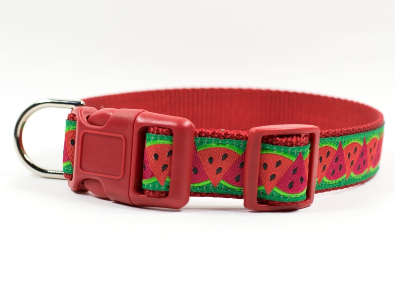 Cantaloupe Striped D Ring Ribbon Belt