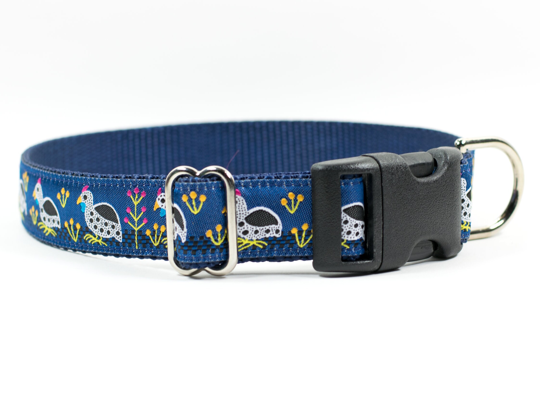 bird dog collars