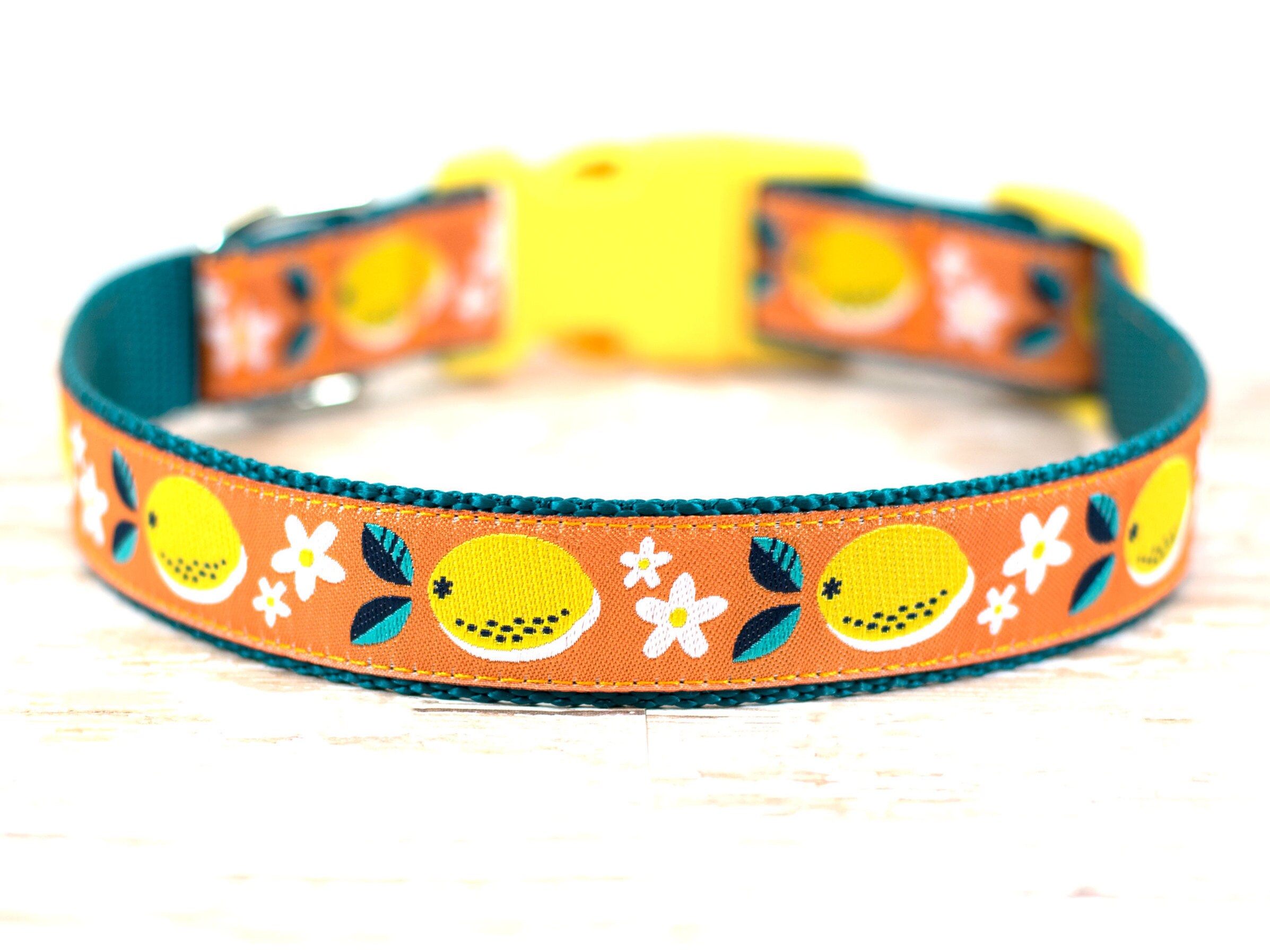 Lemon Dog Collar 1 Inch Wide Dog Collar Verstelbare Gesp of Etsy