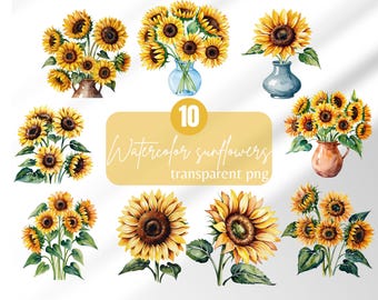 Sunflower clipart watercolor floral digital sticker watercolor style sunflower bouquet png cute sunflowers clipart sunflower bouquet