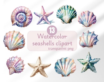 Sea shell clipart ocean seashell clipart watercolor sea shell digital sticker Beach clipart ocean elements clipart sea shell png