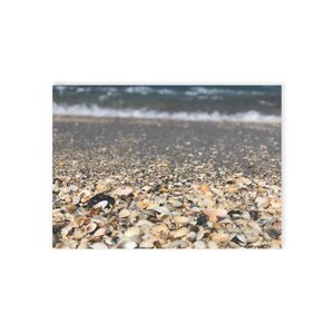 Seashells, Beach Post Card, Photography, Florida Nature Themed Cards,Greeting Card, Wish you were here