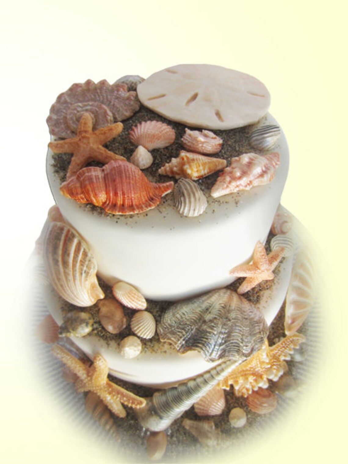 Edible sea shells with sand natural color set of 55 Etsy