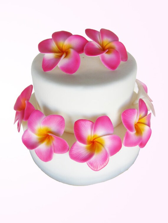 Items similar to edible sugar plumeria flowers large pink and yellow