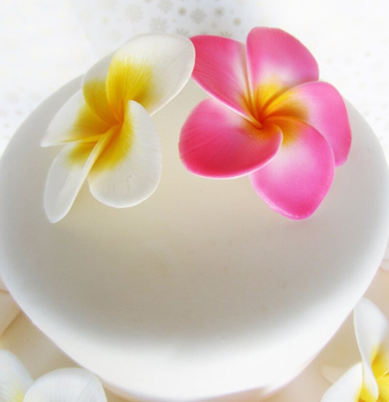 Edible sugar plumeria flowers large pink and yellow set of 6 Etsy