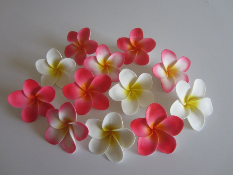 Edible sugar plumeria flowers medium variety of colors Etsy
