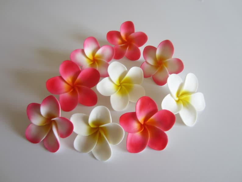 Edible sugar plumeria flowers medium variety of colors Etsy