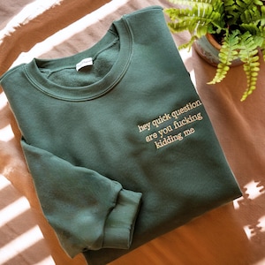May include: A dark green sweatshirt with the embroidered text "hey quick question are you fucking kidding me". The sweatshirt is folded, with the sleeves and neckline visible. A small plant in a terracotta pot is in the background.