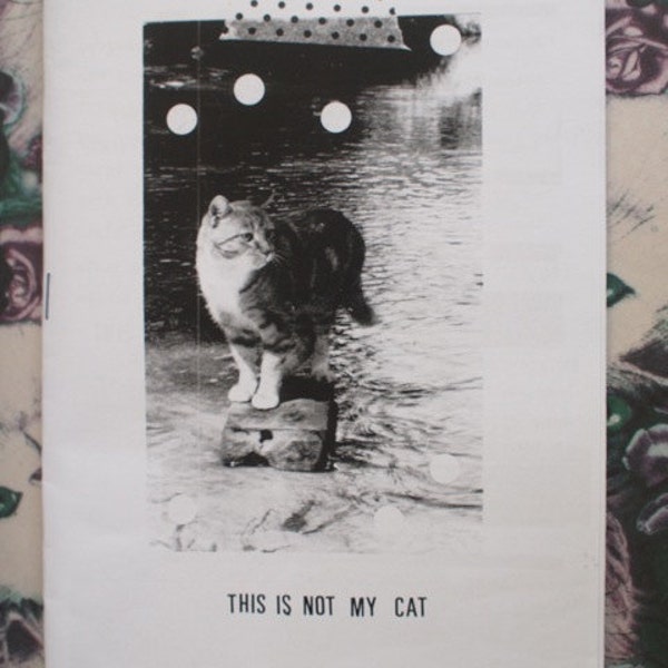 Cat zine - This is Not My Cat