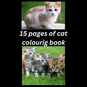 Coloring book