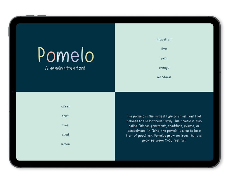 May include: A digital illustration of the word "Pomelo" in a colorful handwritten font. The word is displayed on a dark blue background. The text "A handwritten font" is below the word Pomelo. The image also includes a list of citrus fruits, including grapefruit, lime, yuzu, orange, and mandarin. The text "The pomelo is the largest type of citrus fruit that belongs to the Rutaceae family. The pomelo is also called Chinese grapefruit, shaddock, pulemo, or pompelmous. In China, the pomelo is seen to be a fruit of good luck. Pomelos grow on trees that can grow between 15-50 feet tall." is displayed on a light blue background.