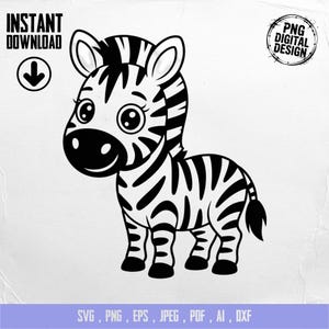 Baby Zebra Clipart, Cute Baby Animal Clipart, Baby Nursery Clipart, Jungle Safari, Baby Shower Clipart, Baby Zebra Png