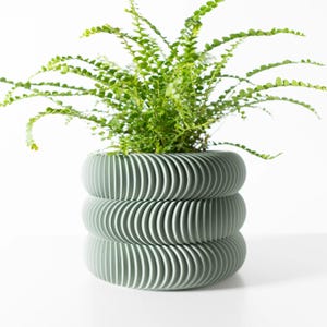 Könnte beinhalten: Ein grüner Keramiktopf mit einem einzigartigen, wellenförmigen, strukturierten Design. Eine grüne Farnpflanze wächst im Topf.