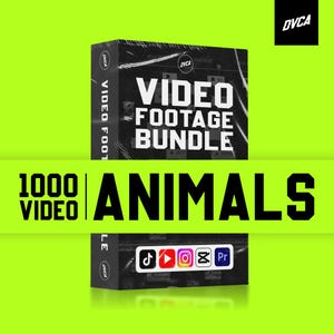 bundle of animal video for additional footage