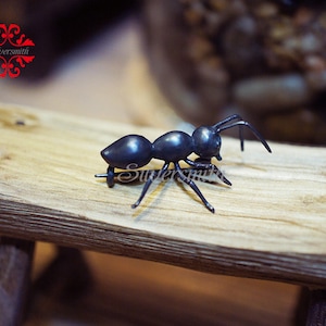 Puede incluir: Un pin de hormiga negra hecho de metal. La hormiga está posada como si estuviera caminando sobre una superficie de madera.