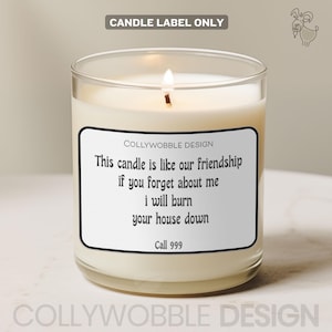 Étiquette pour bougie « Burn Your House Down » | autocollant drôle de bougie | 7 x 5,5 cm et 9 x 7 cm | Cadeau d'amitié sarcastique | Meilleures amies du label impertinent | Bougie grossière