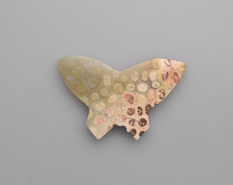 Agatized Fossil Coral Butterfly