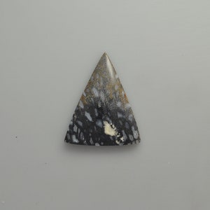 Petrified Palm Root Cabochon