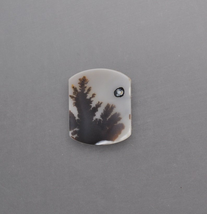UFO Over The Black Forest Dendritic Agate Cabochon