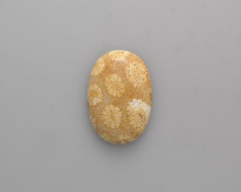 Agatized Coral Cabochon