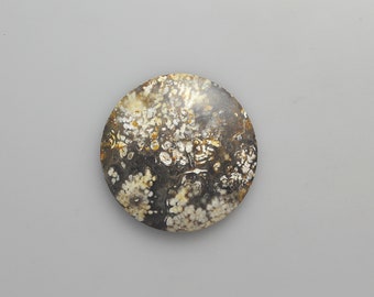 Natural Plume Agate Cabochon