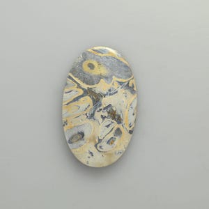 Petrified Palm Wood Cabochon