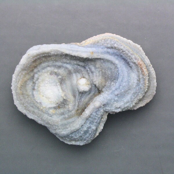 Agate Concho Flower