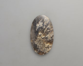 Natural Plume Agate Cabochon