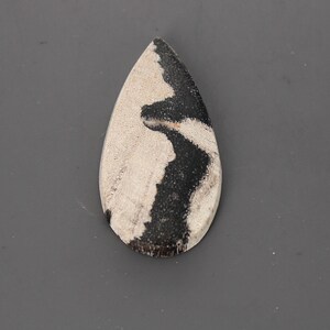 Petrified Wood Cabochon