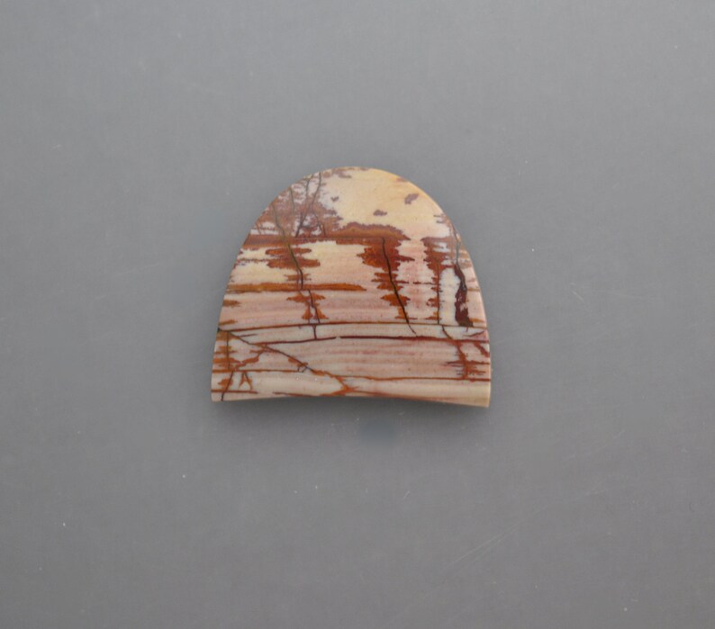 Dead Camel Picture Jasper