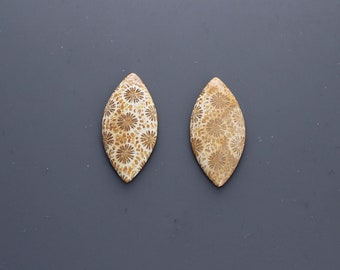 Agatized Coral Cabochon Pair