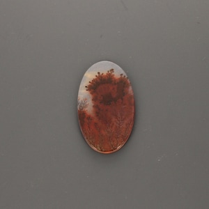 May include: An oval-shaped dendritic agate gemstone featuring a translucent, milky white base with deep reddish-brown, tree-like inclusions that resemble a forest landscape. The stone has a smooth, polished surface and a rounded, symmetrical edge.