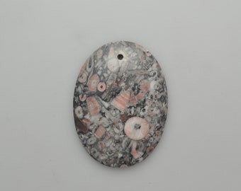 Fossil Crionoid Bead