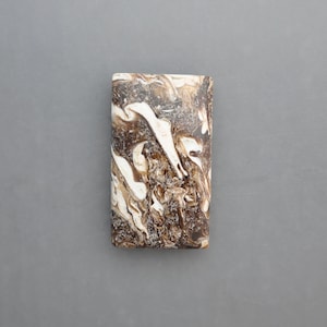 Petrified Palm Root Cabochon