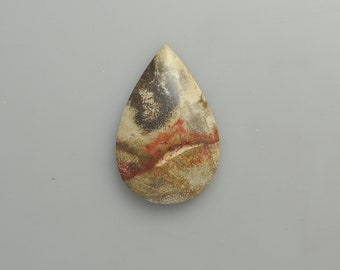 Petrified Wood Cabochon