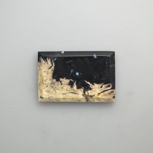 Petrified Palm Root Cabochon
