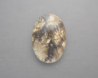 Plume Agate Cabochon