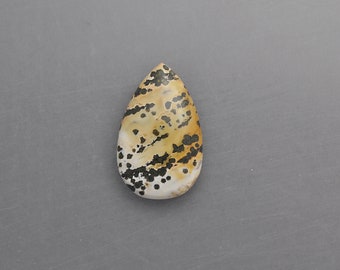 Ocean Jasper Cabochon