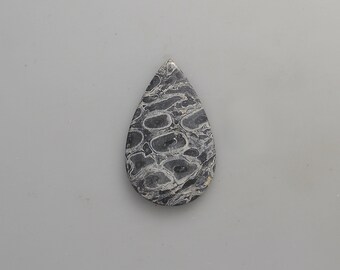 Petrified Palm Cabochon