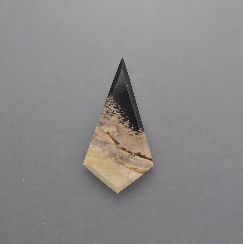 Petrified Palm Root Cabochon