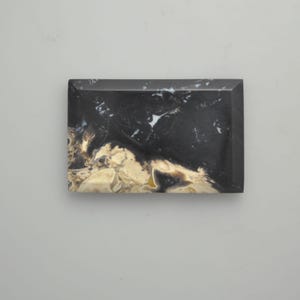 Petrified Palm Wood Cabochon