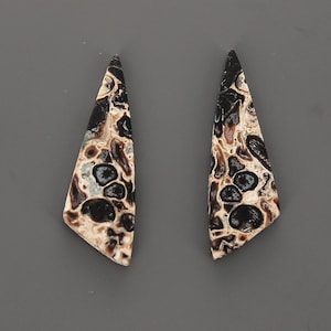 Petrified Palm Wood Cabochon Pair