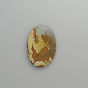 Owyhee Picture Jasper