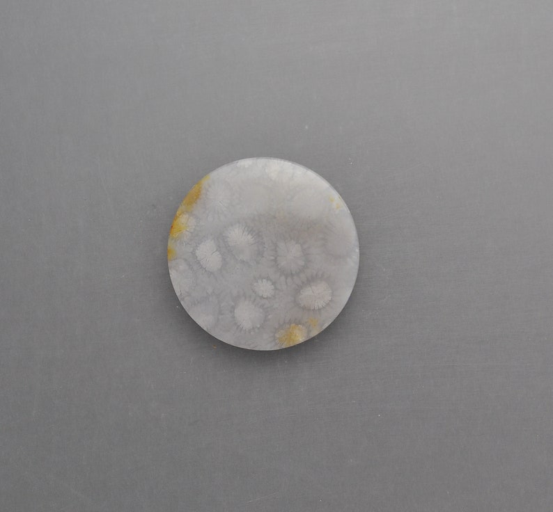 Agatized Coral Cabochon