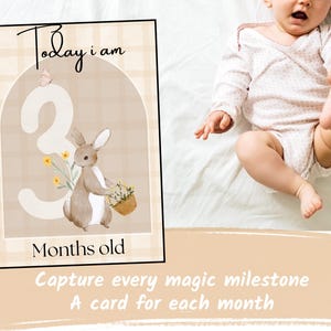 Cartes jalons bébé « Aujourd'hui, j'ai… des mois » PDF imprimable en téléchargement numérique Accessoire photo bébé nouveau-né à 1 an Cartes jalons mensuels