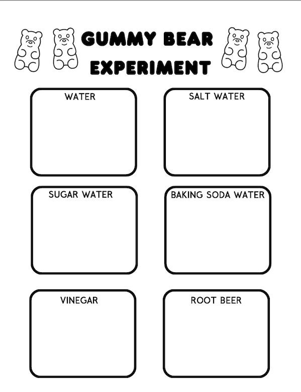 Gummy Bear Science Fair Experiment Worksheet Printable PDF 