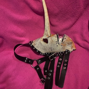 May include: A distressed, off-white mask with a long, curved beak and a zipper detail. The mask is adorned with metal studs and rivets. Black leather straps with buckles and metal rings are attached, suggesting a harness-like design. The mask rests on a pink surface.