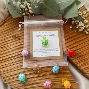 Glücksbringer Schildkröte